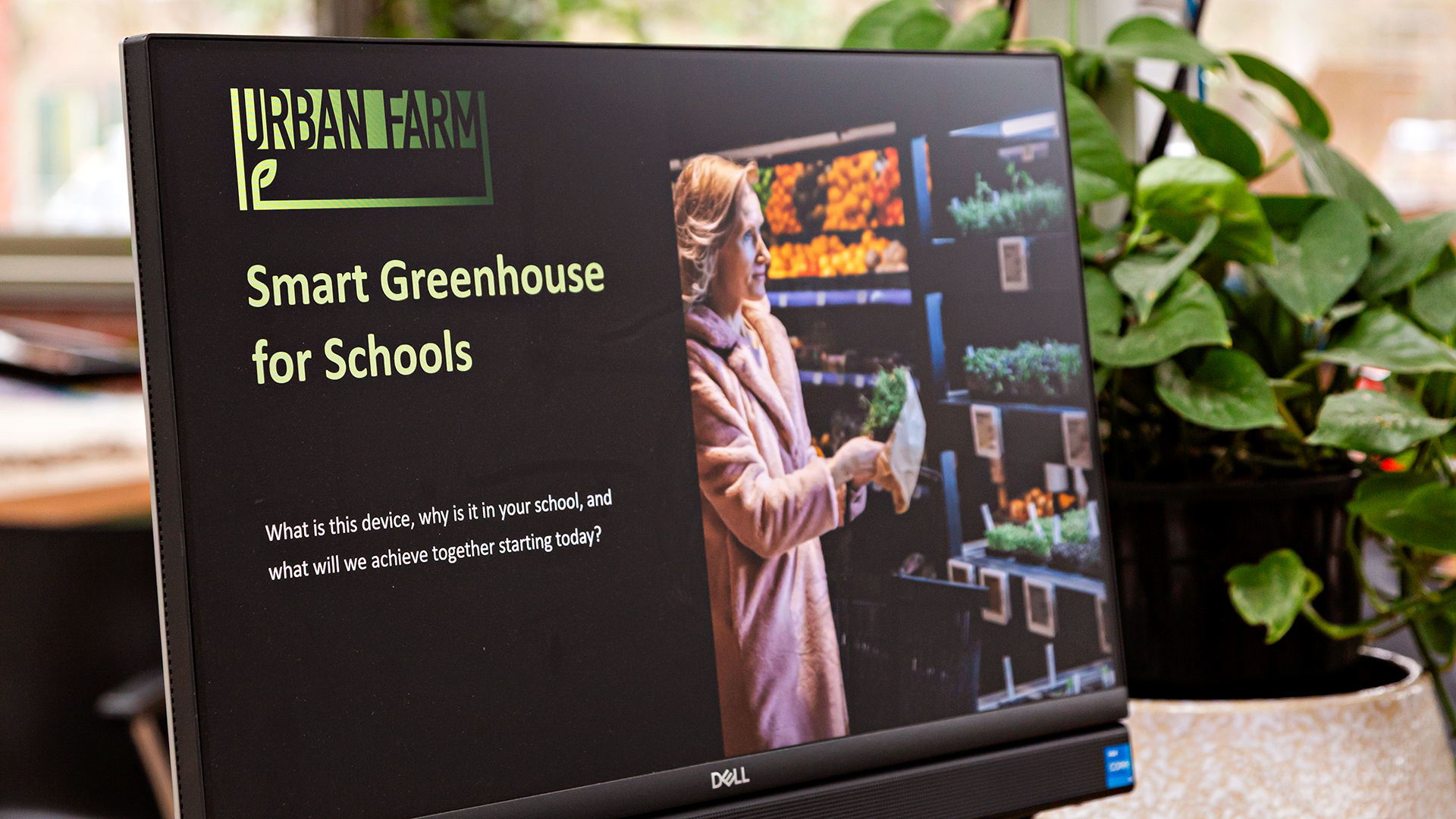 Test in Heidelberg Heidelberg - Urban Farm