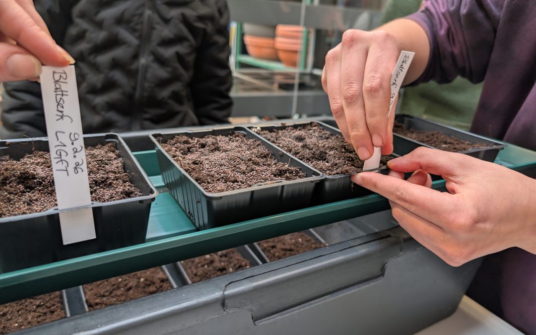 Smart Greenhouse in Heidelberg