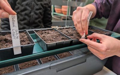 Smart Greenhouse in Heidelberg