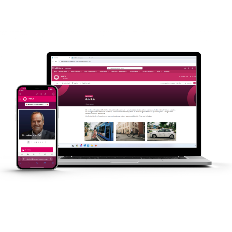 Intranet Stadt Heidelberg